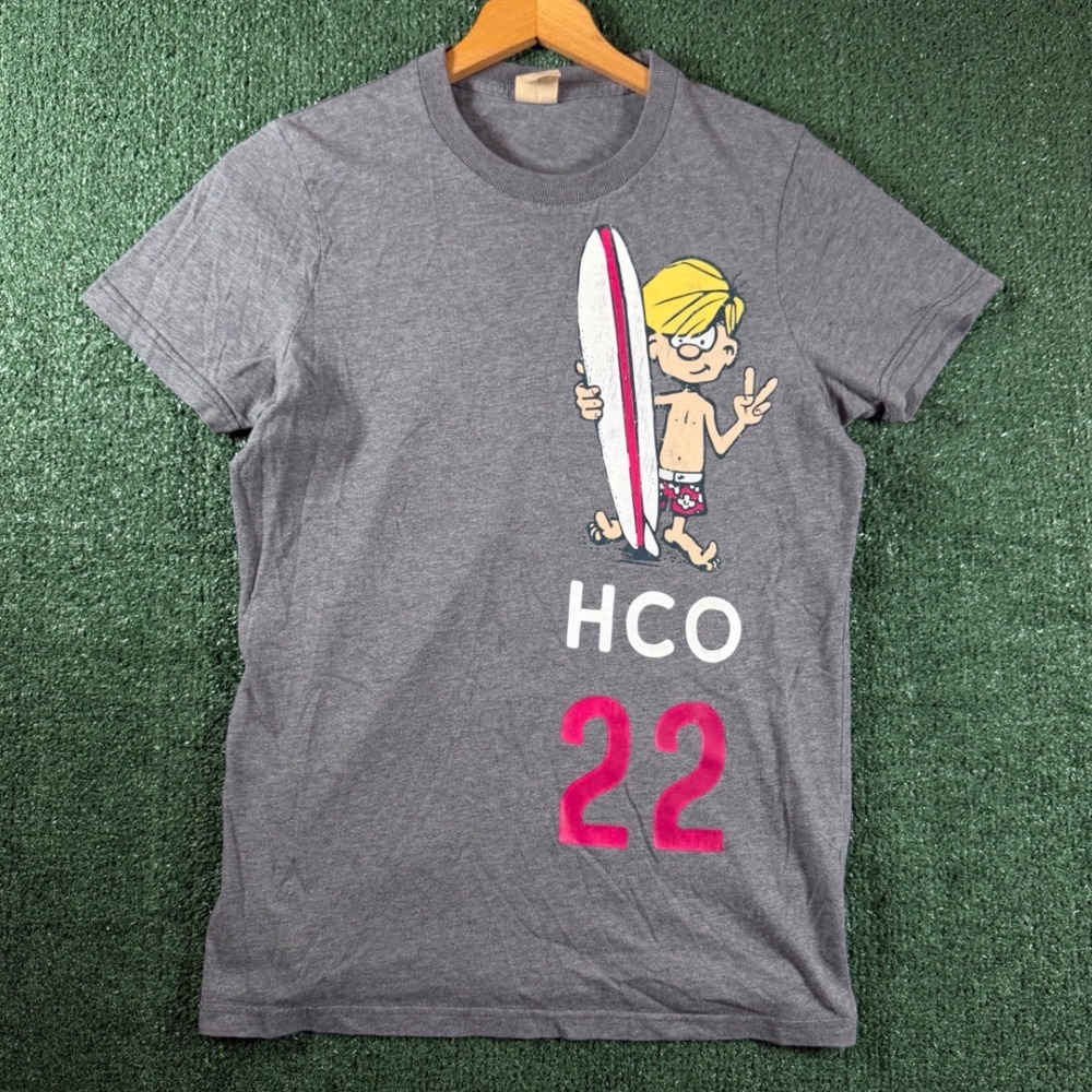 Hollister Graphic Tee Mens Small Grey Good Surfer Character HCO 22 Short Sleeve